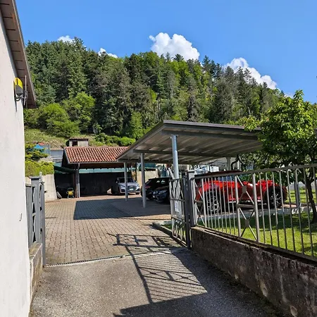 Tra Cielo E Bosco -